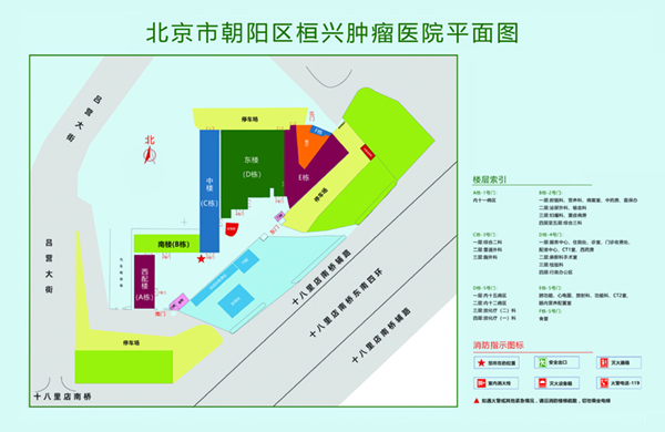 嗯嗯啊日逼视频北京市朝阳区桓兴肿瘤医院平面图